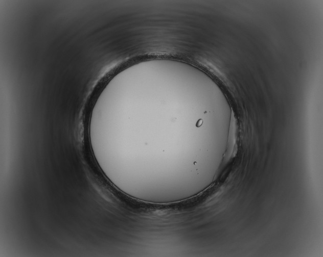 X0000086990584200705071438