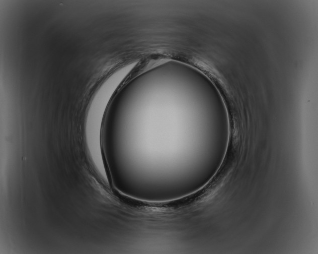 X0000086990585200705071438