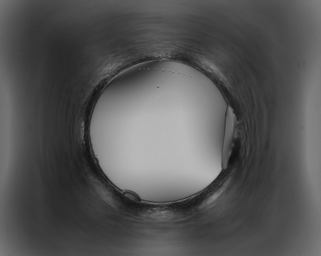 X0000086990589200705071438