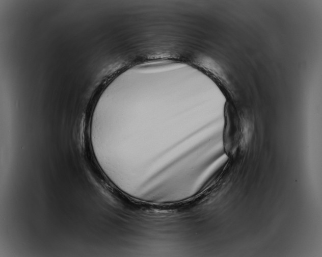 X0000086990590200705071438