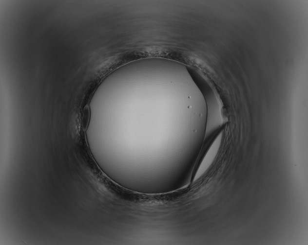 X0000086990593200705071438