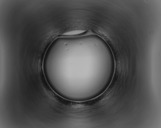 X0000086990594200705071438