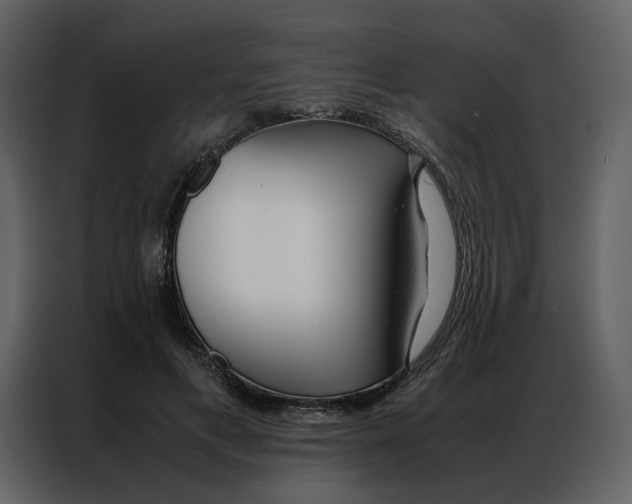 X0000086990597200705071438