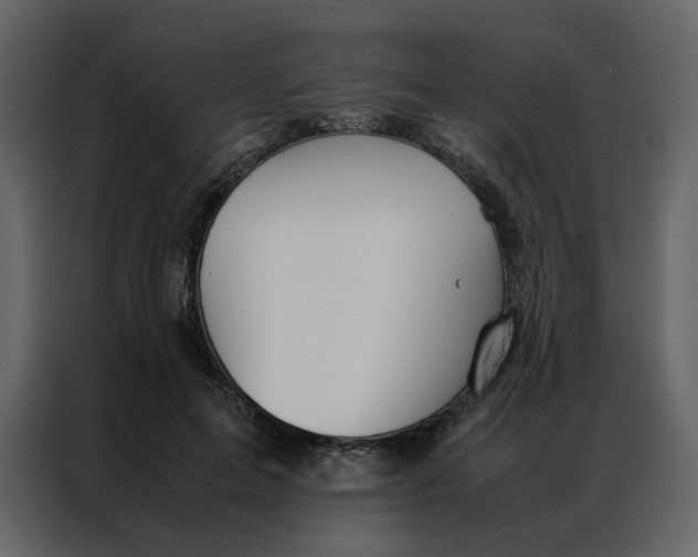 X0000086990599200705071438