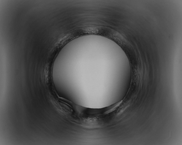 X0000086990600200705071438