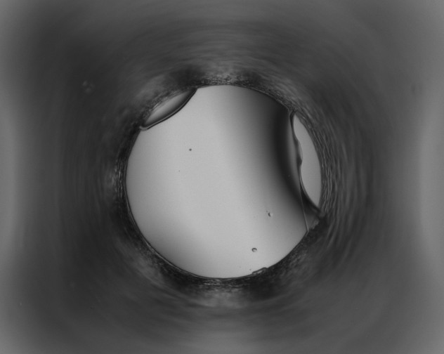 X0000086990601200705071438