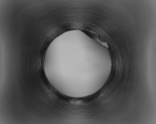 X0000086990602200705071438