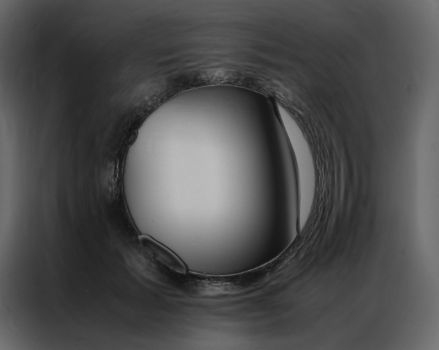 X0000086990605200705071438