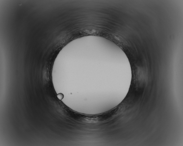 X0000086990606200705071438