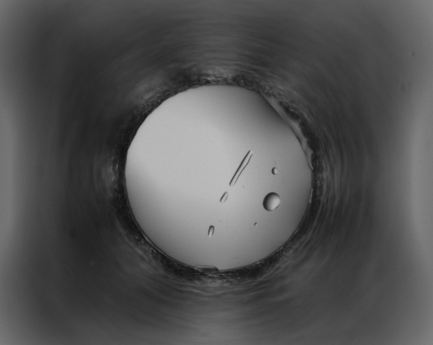 X0000086990608200705071438