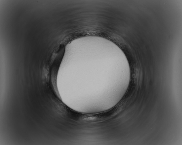 X0000086990610200705071438