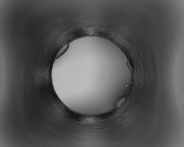 X0000086990611200705071438