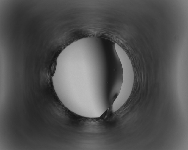 X0000086990613200705071438