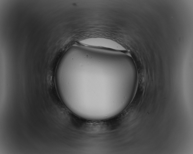 X0000086990615200705071438