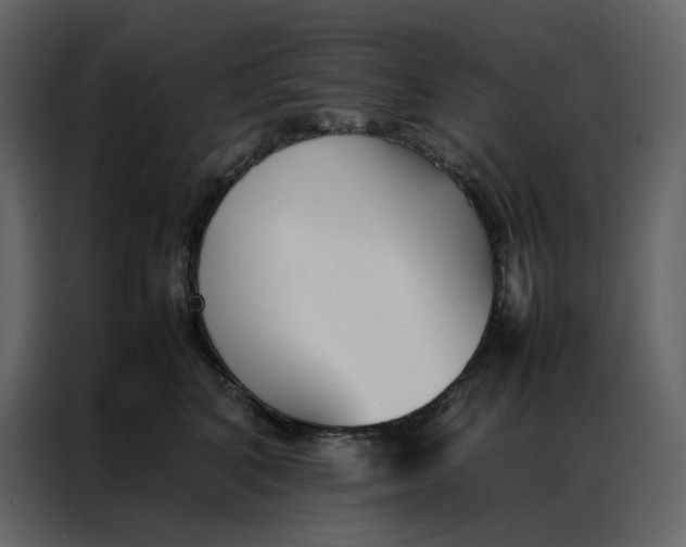 X0000086990616200705071438