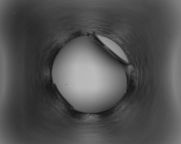 X0000086990617200705071438