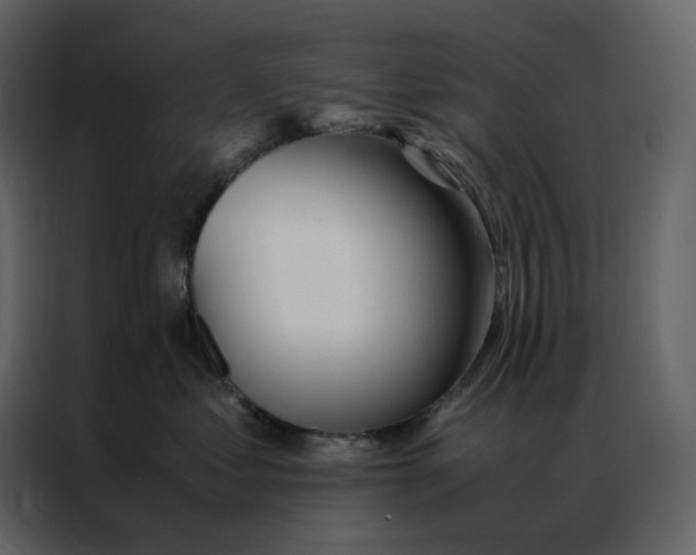 X0000086990621200705071438