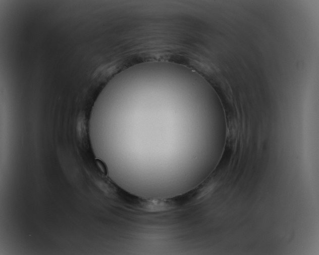 X0000086990623200705071438