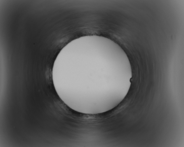 X0000086990624200705071438