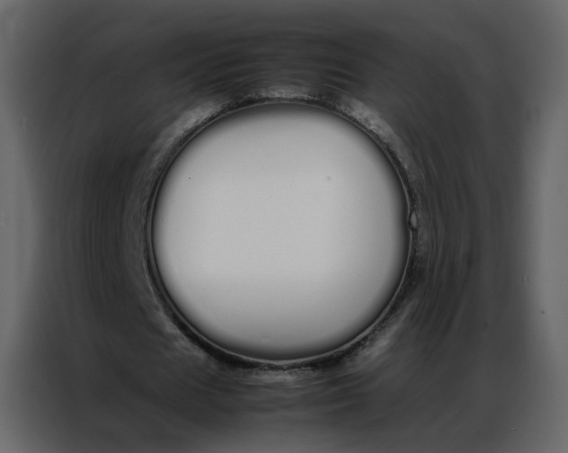 X0000086990625200705071437