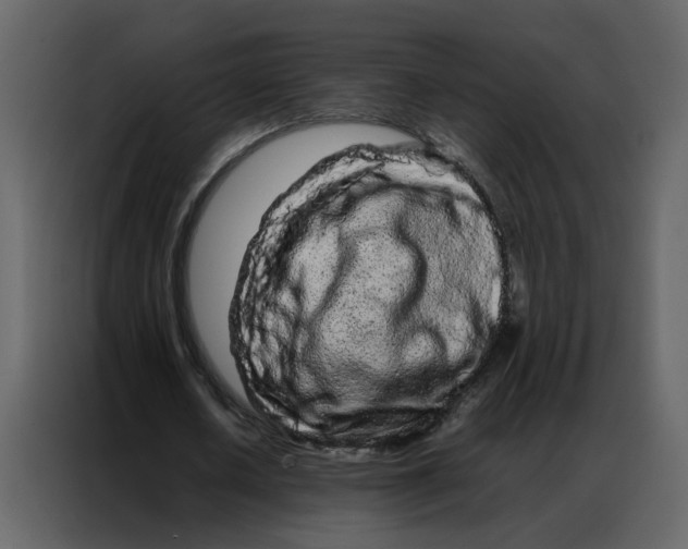 X0000086990626200705071437