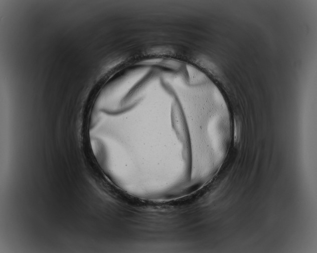 X0000086990627200705071437