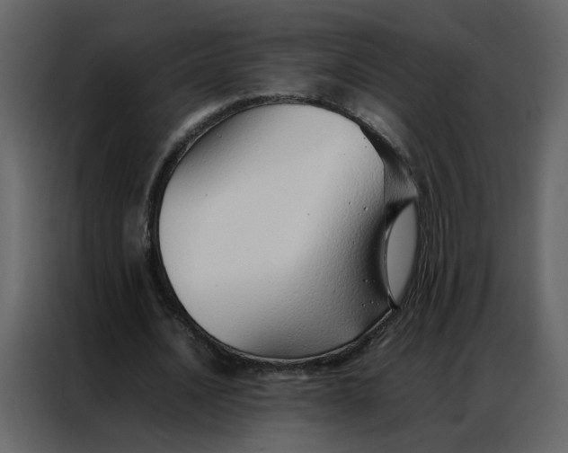 X0000086990628200705071437