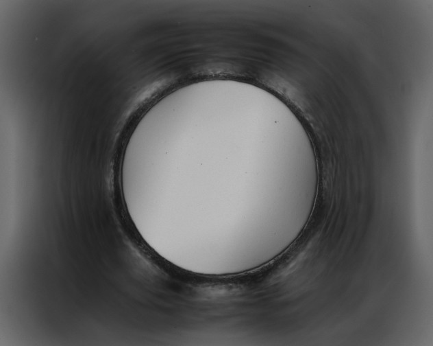 X0000086990629200705071437