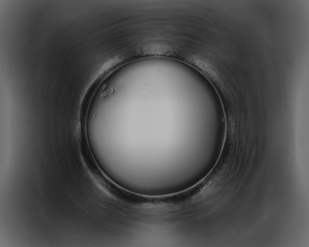 X0000086990630200705071437