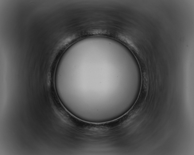 X0000086990631200705071437