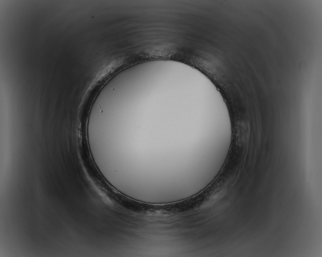 X0000086990634200705071437