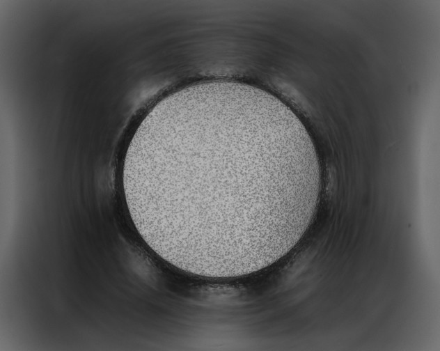 X0000086990636200705071437