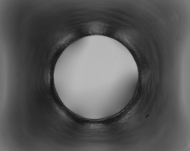 X0000086990637200705071437