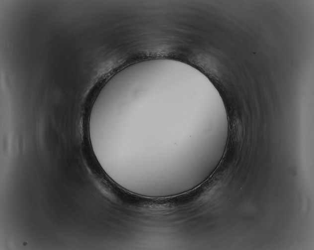 X0000086990638200705071437