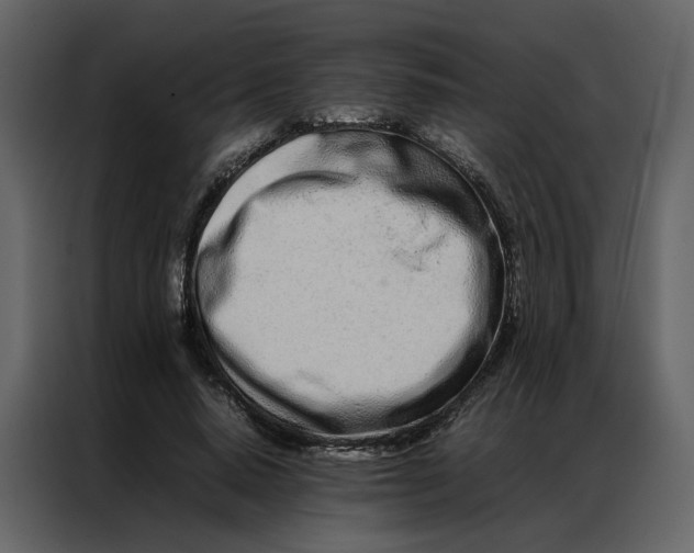 X0000086990640200705071437