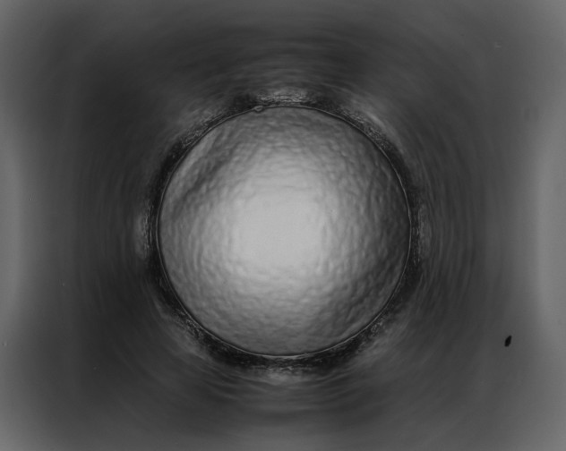 X0000086990641200705071437