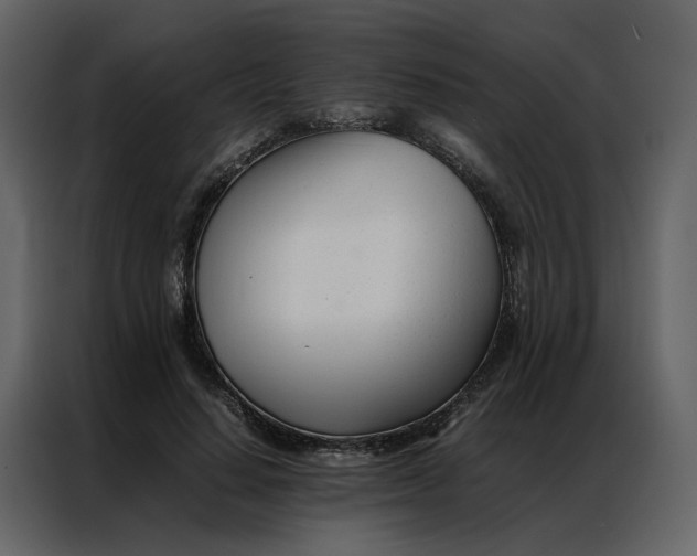 X0000086990644200705071437