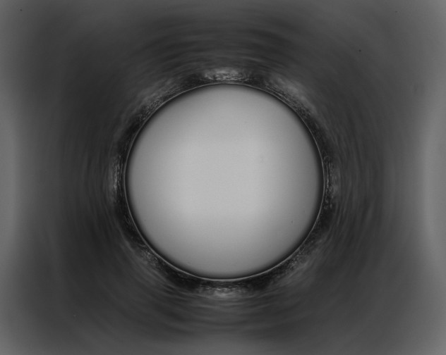 X0000086990645200705071437