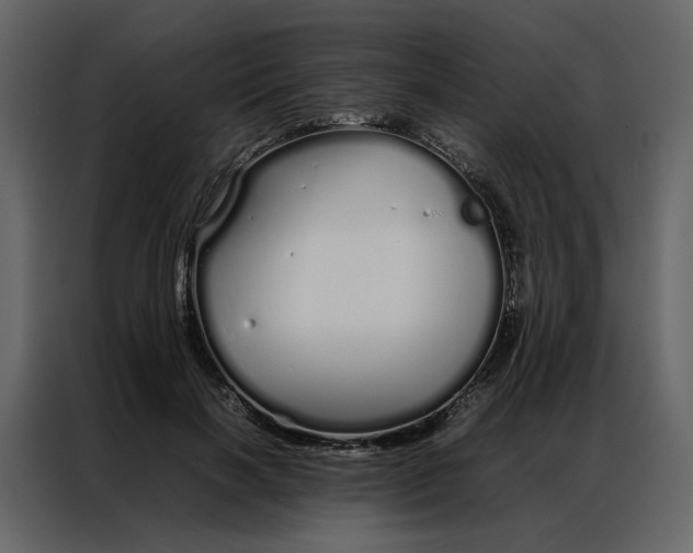 X0000086990646200705071437