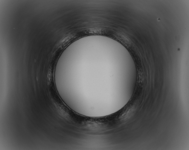 X0000086990648200705071437