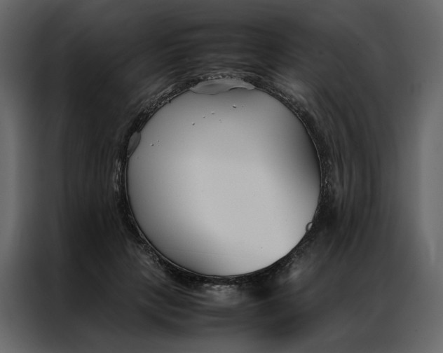 X0000086990649200705071437