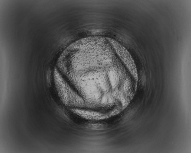 X0000086990650200705071437