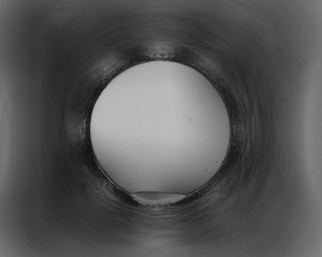 X0000086990652200705071437