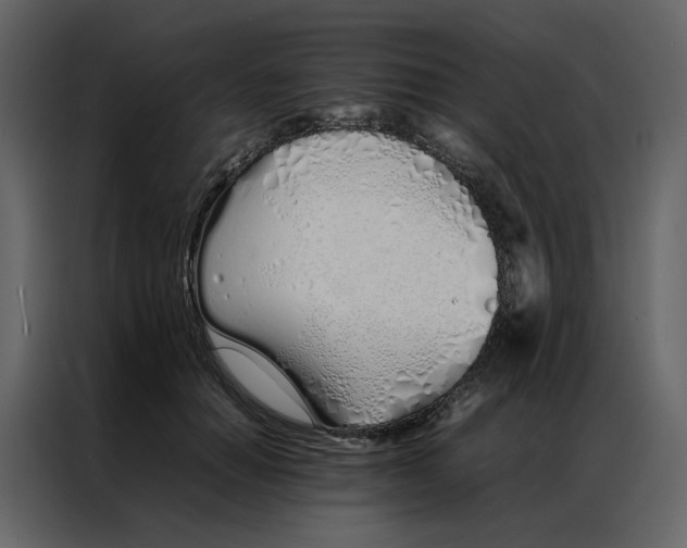 X0000086990654200705071437