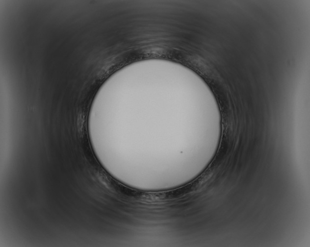 X0000086990660200705071437