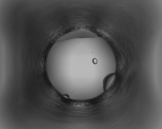 X0000086990661200705071437