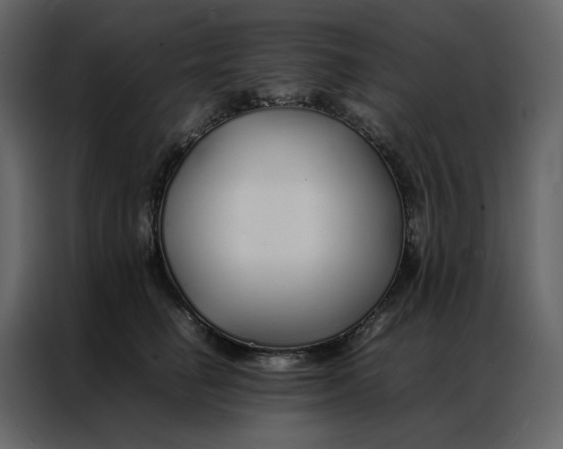 X0000086990662200705071437