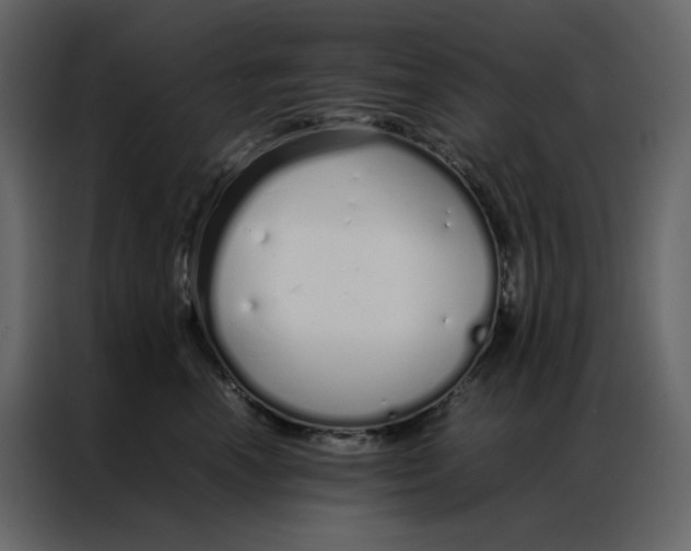 X0000086990666200705071438