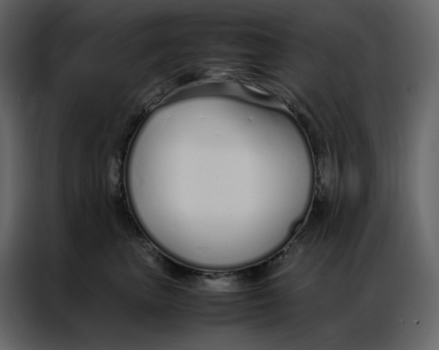 X0000086990667200705071438