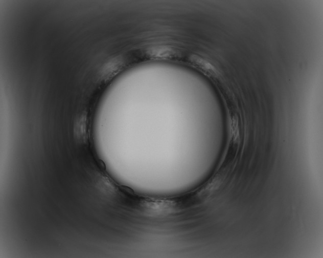 X0000086990670200705071438